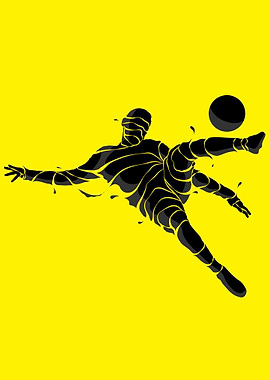 Football soccer goals