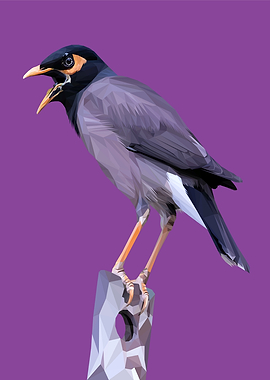 Violet Bird Perching