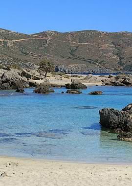 Blue paradise kedrodasos