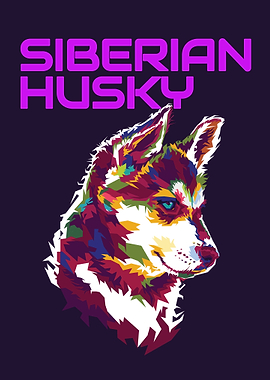Siberian husky