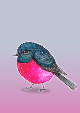 Pink robin