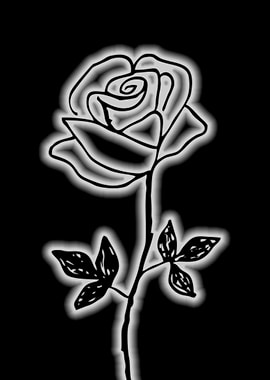 single rose