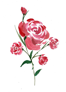 Simplistic Red Rose