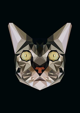 Cat in Lowpoly