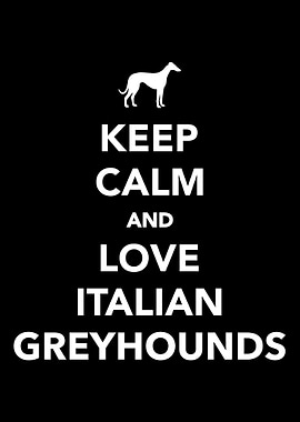 Italian Greyhound