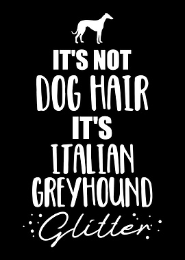 Italian Greyhound