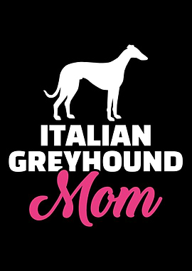 Italian Greyhound
