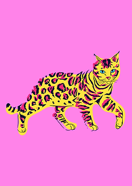 Colorful Bengal Cat