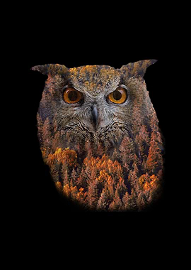 Wildlife Art Nature Owl
