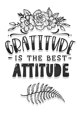 The best attitude