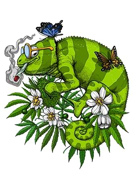 Chameleon Smoking Weed