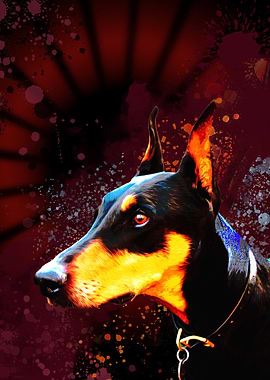 doberman pinscher
