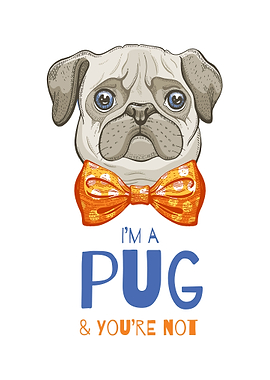 I am a pug