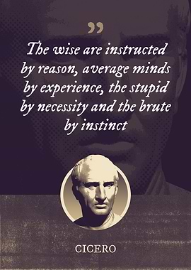 The wise are instructed by