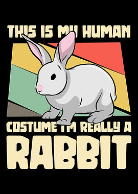 Im really a rabbit