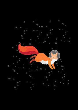 A Fox in the Space