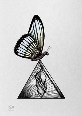 Butterfly on Prism Cocoon