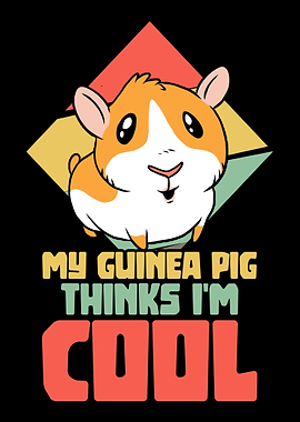 Guinea Pig Rodent