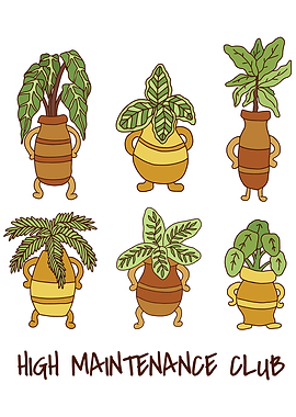 High Maintenance Club