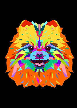 Pomeranian puppies wpap