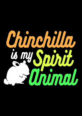 Chinchilla Spirit Animal