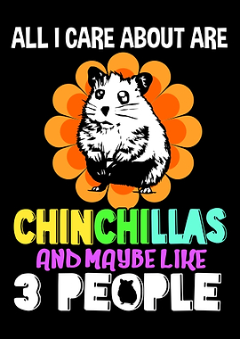 Chinchilla Care About Pet