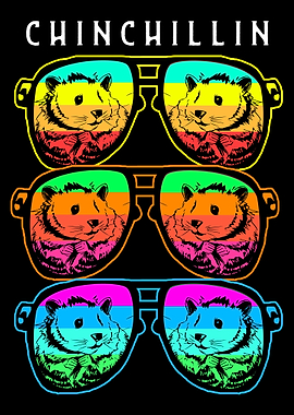 Chinchilla Chinchillin Pet