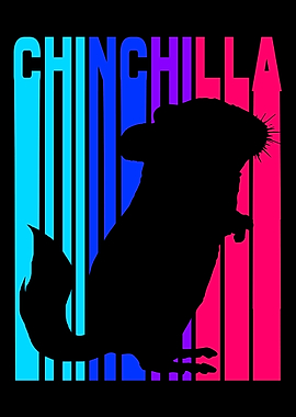 Chinchilla Colorful Pet