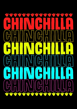 Chinchilla Colorful Pet