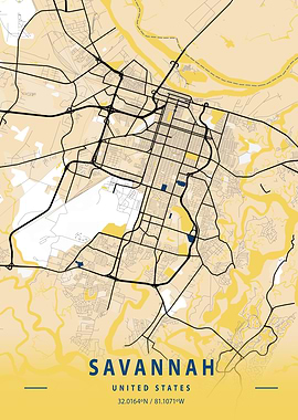 Savannah Yellow City Map