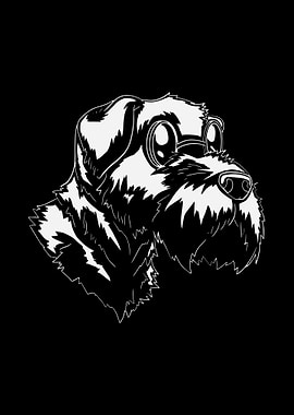 Soft Coated Wheaten Terrie