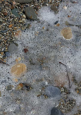 Waves macro summer times