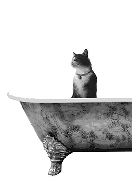 Cat Happy Tabby Bathing