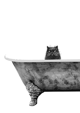 Black Scrubby Cat Bathing