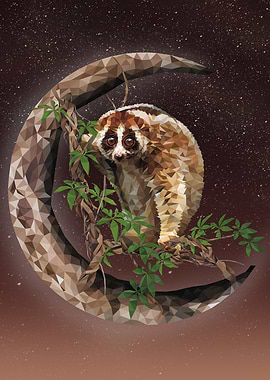 Javan Slow Loris