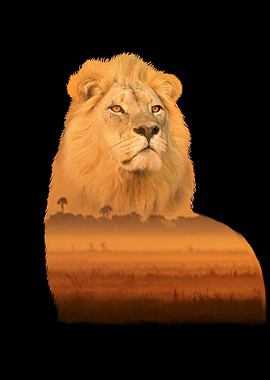 Safari Wildlife Lion