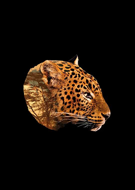 Safari Wildlife Leopard