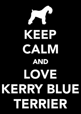 Kerry Blue Terrier