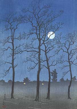 Moon Over Toyama Plain