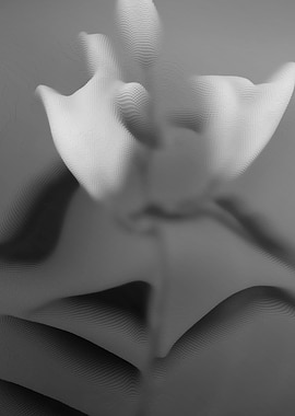 Abstract lilies