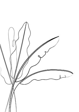 Banana Palm Line Drawing
