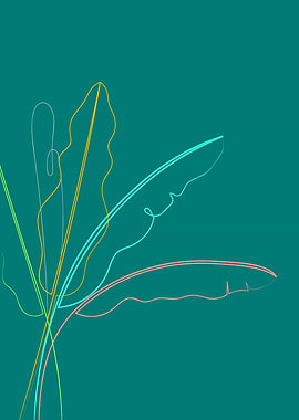 Banana Palm Leaves On Teal