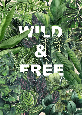Wild and Free