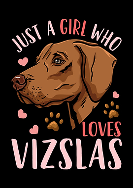 Just A Girl Who Loves Vizs