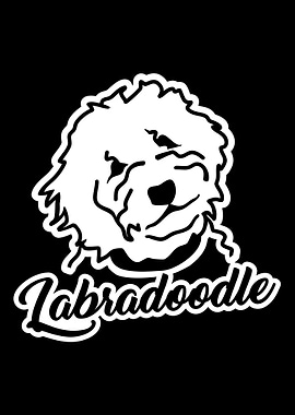 Labradoodle