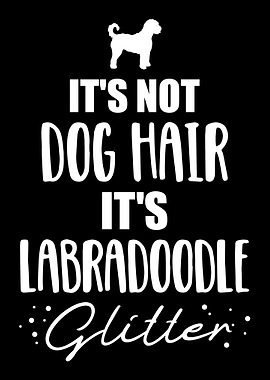 Labradoodle