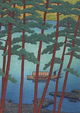 Ferry Travel In Arashi