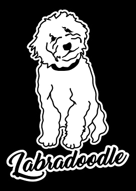 Labradoodle