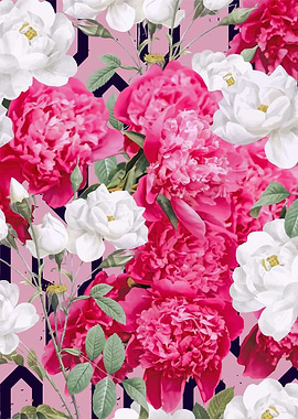 Despite The Forecast Live