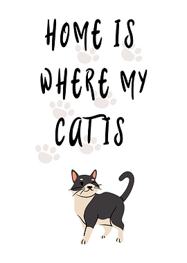 Home Is Where My Cat Is